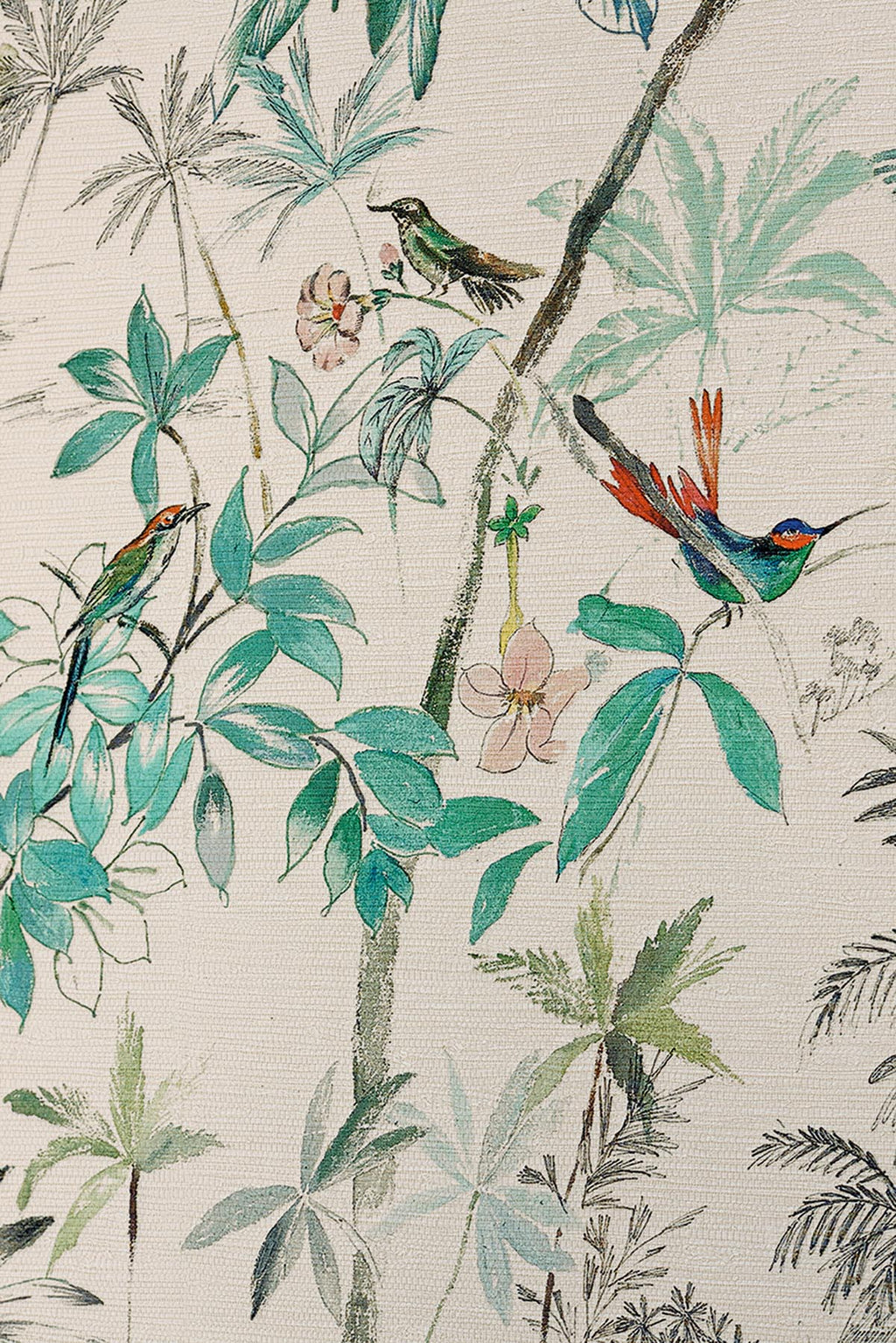 L'oasis Tropical - Galerie 4