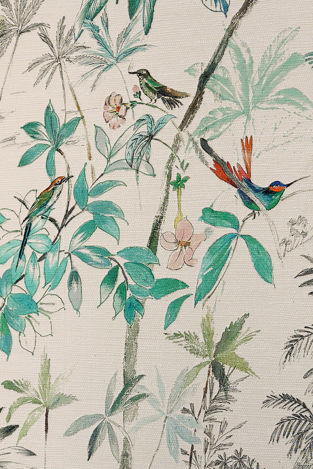 L'oasis Tropical - Galerie 4
