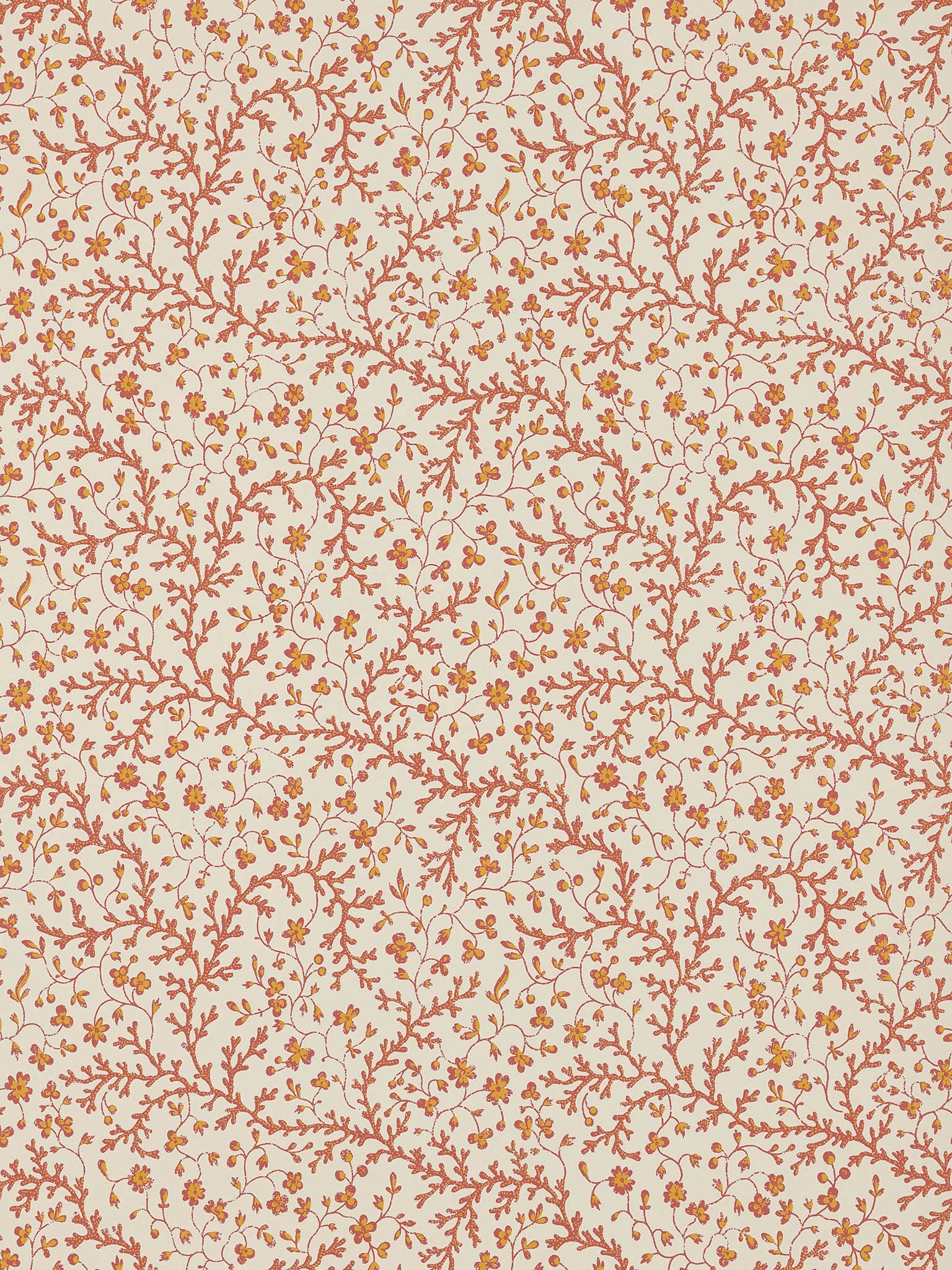 Nimes Chantilly - Unis Intemporels
