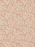 Fleurs de corail Creme - Eternel Ete