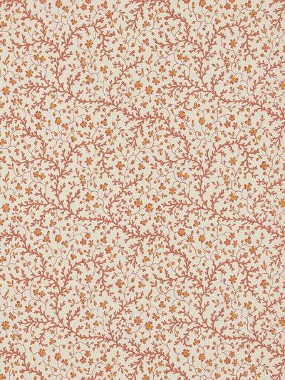 Fleurs de corail Creme - Eternel Ete