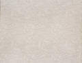 YLANG WALLPAPER (The Scarlet Letter)