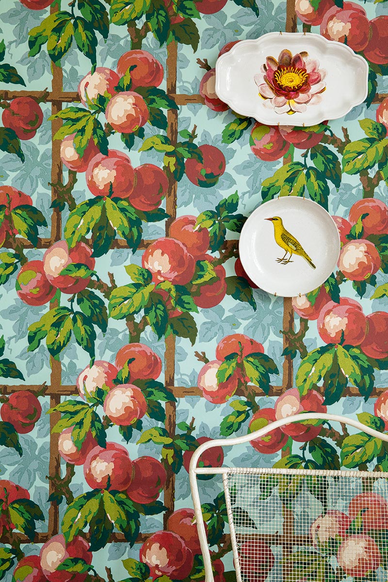 Galla Vert Pomme - Jardins Secrets