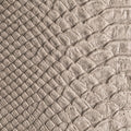 Taipan Stone