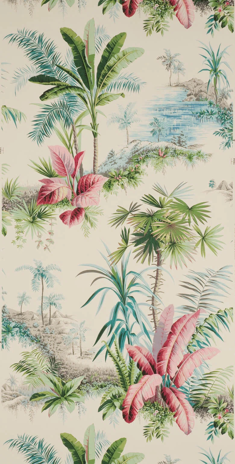 Alexandrie Bégonia - Dessins Signatures