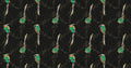 Kardinal Emerald