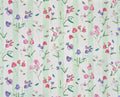 Rayure les pois de senteur Creme - Jardins Secrets