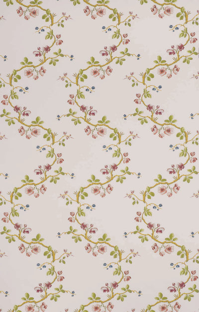 Wallpaper sans papillons Beige - Dessins Signatures