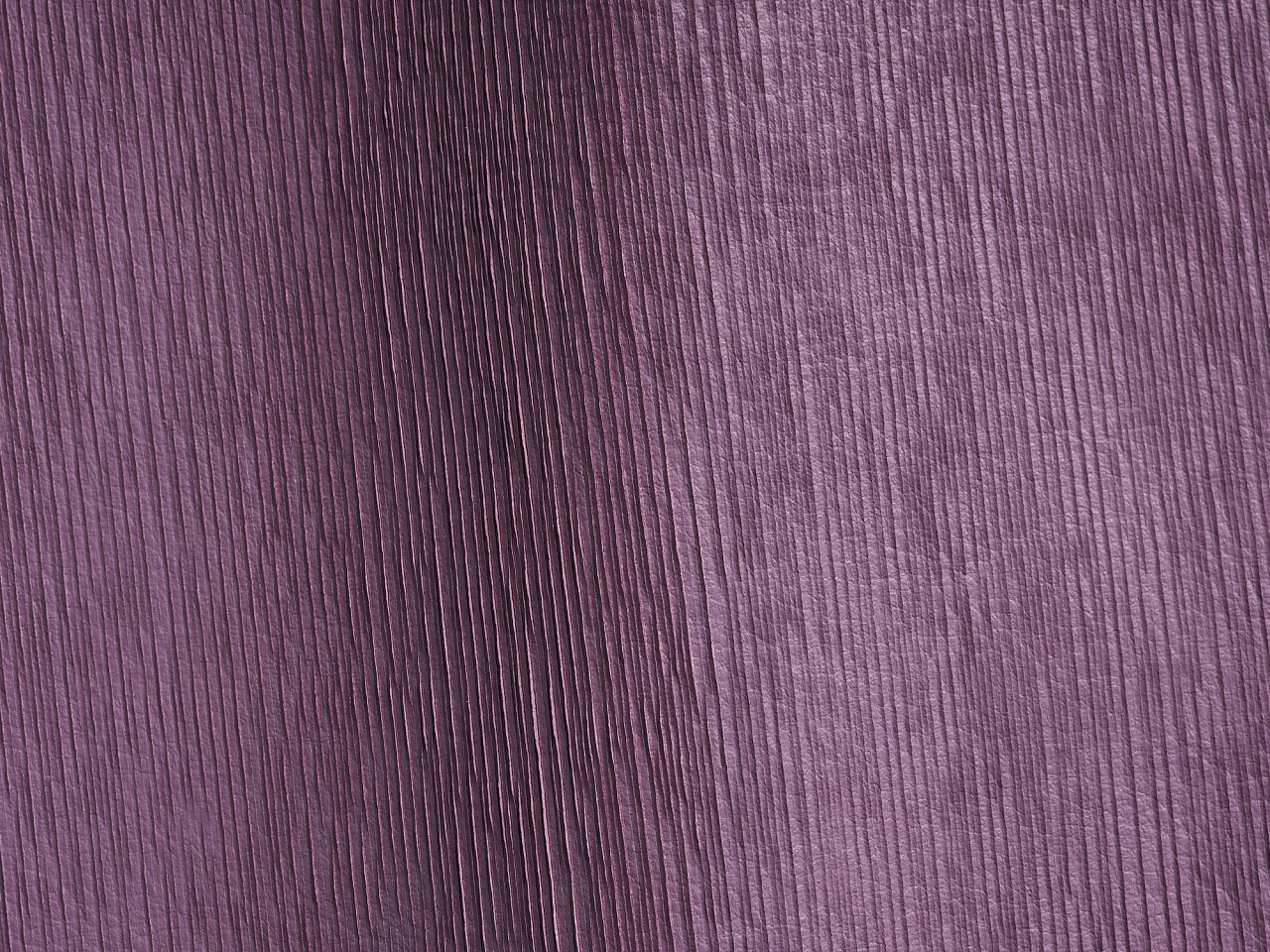 Mushroom Violette