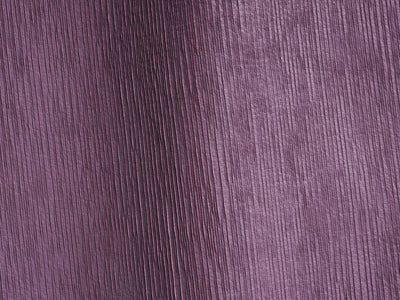 Mushroom Violette