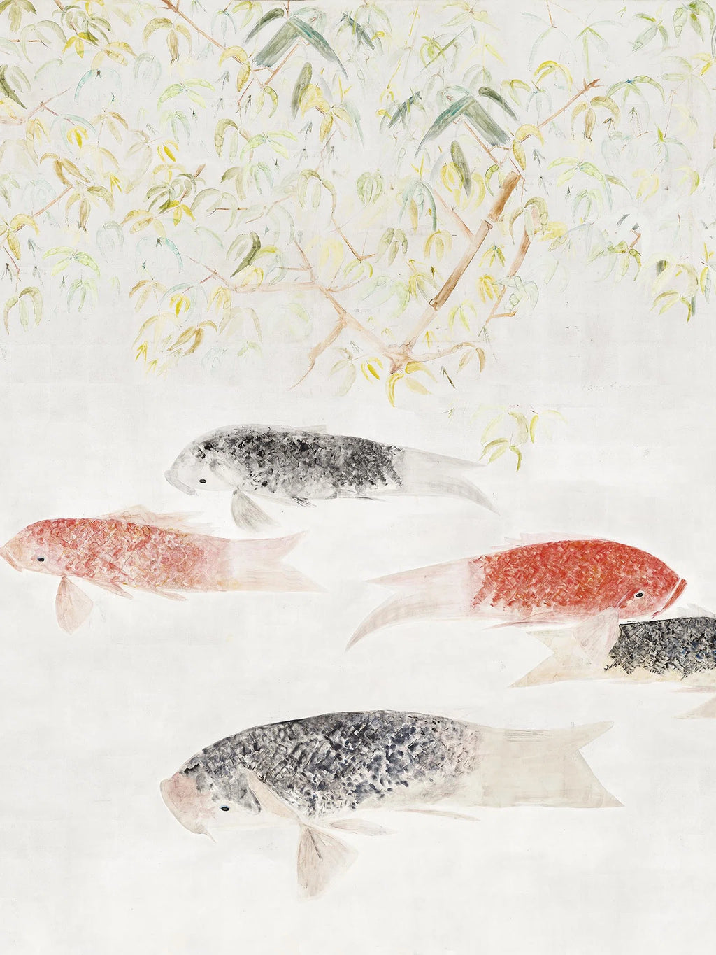 Les carpes Argent - Galerie 3