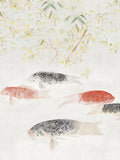 Les carpes Argent - Galerie 3