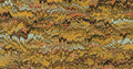 Eduardo Paradise