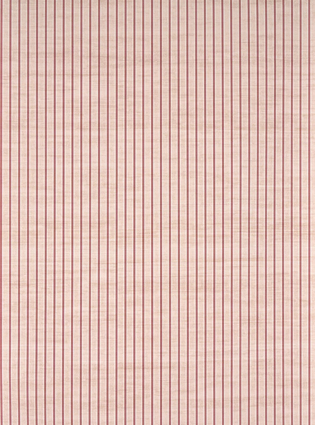 Amour Pivoine - Paralleles