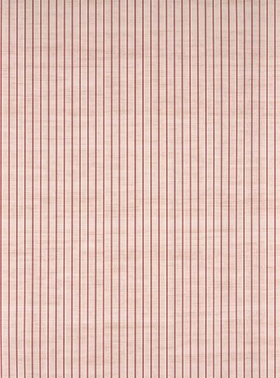 Minette Framboise - Paralleles