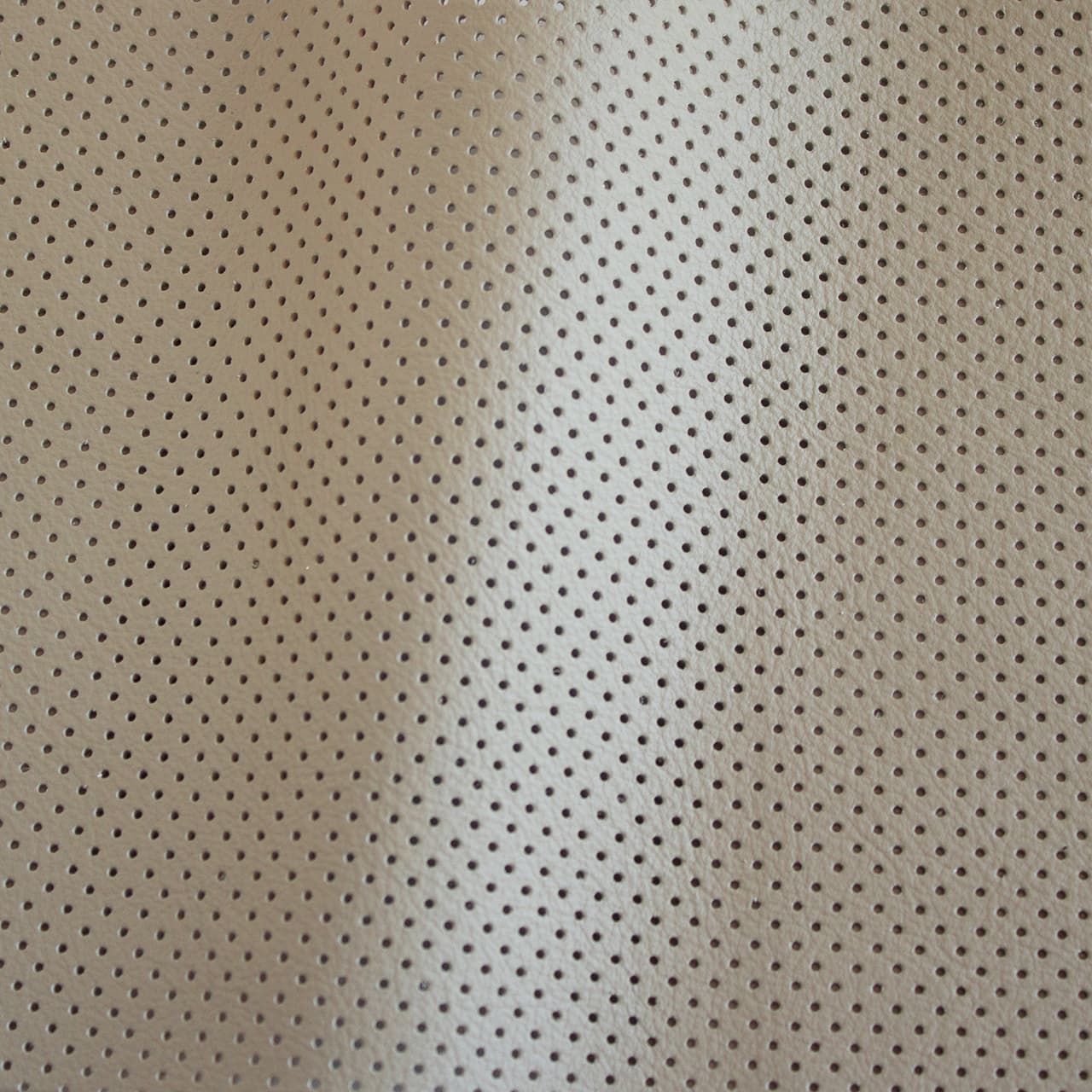Notch Polvere