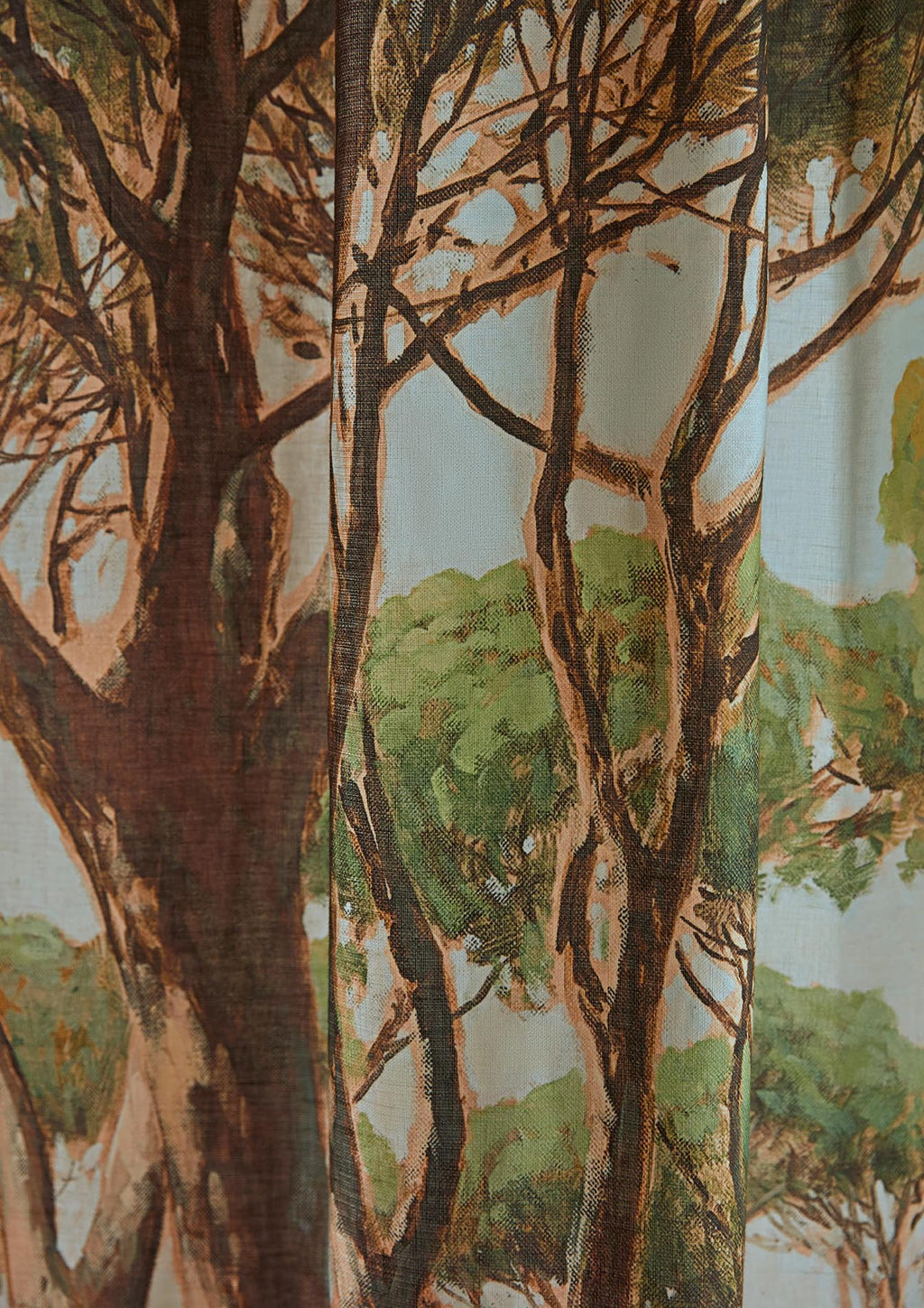L'esterel Agave - Galerie