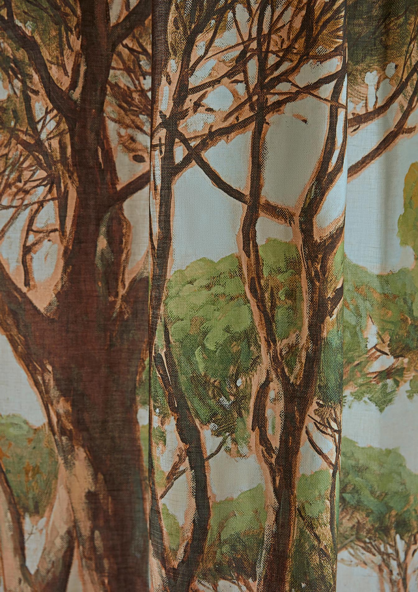 L'esterel Agave - Galerie