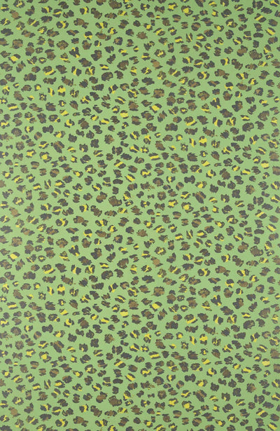 Ceylan Jungle - Carnet De Voyage