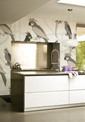 Funny parrots