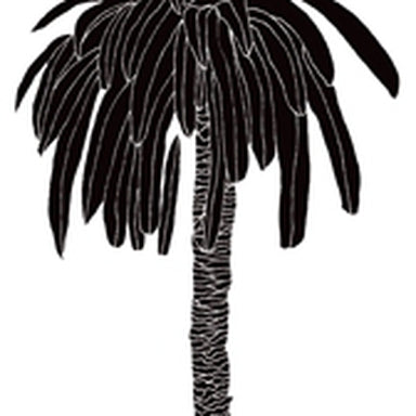 Hula coconut