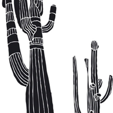 Desert spirit