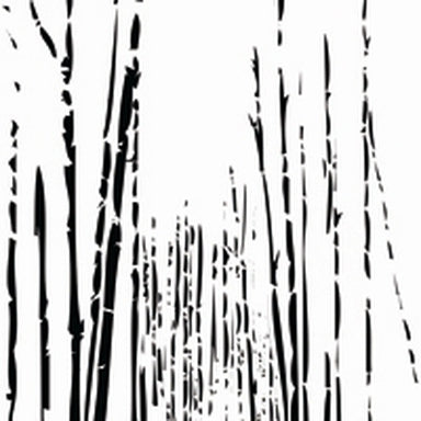 Bamboo