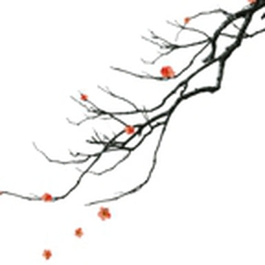 Kanji