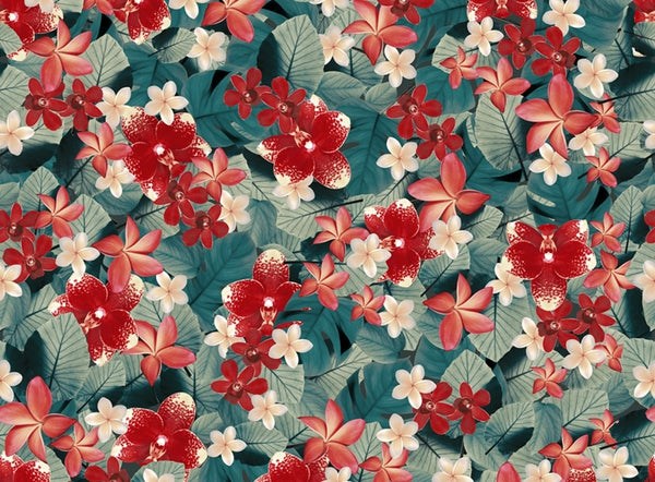 Tropics reloaded