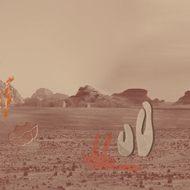 Desert botanica