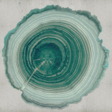 Tree of Life