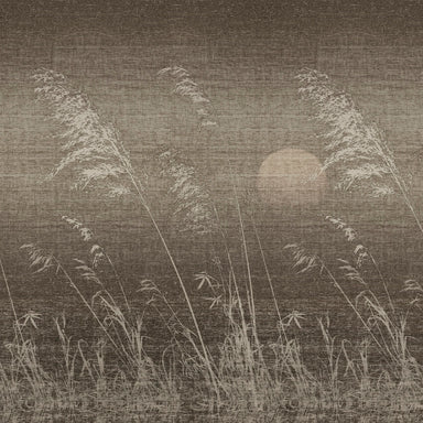 Gli Alisei
