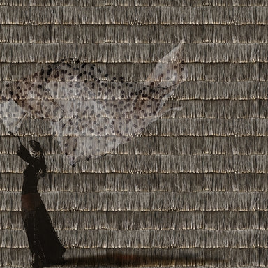 Poid plume