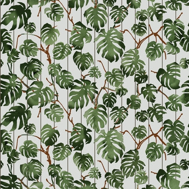 Rio