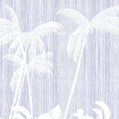 Miami winter