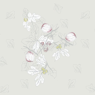 Platone