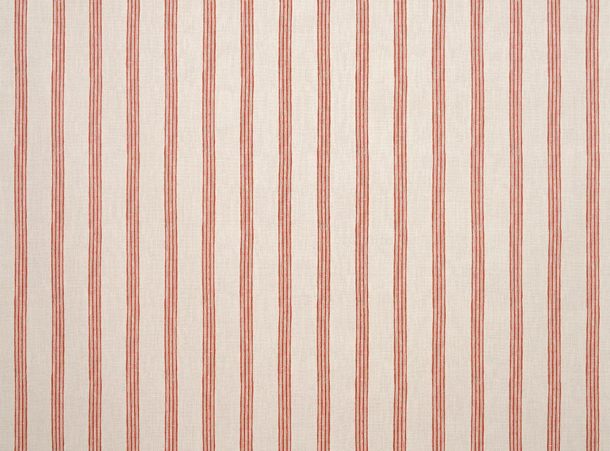 Rosa Grisaille - Lumières Boréales