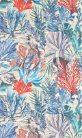 Pleine mer Corail - Les Dessins 7