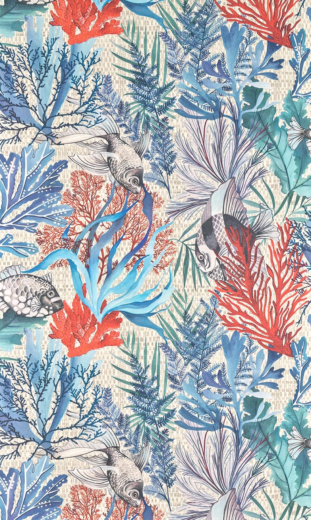 Les anemones Printemps - Les Dessins 7