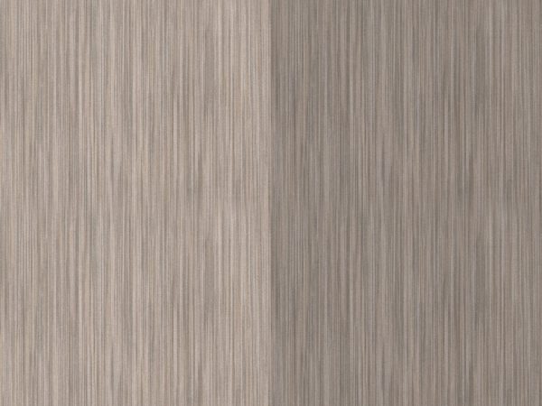 Infinity - INF6405