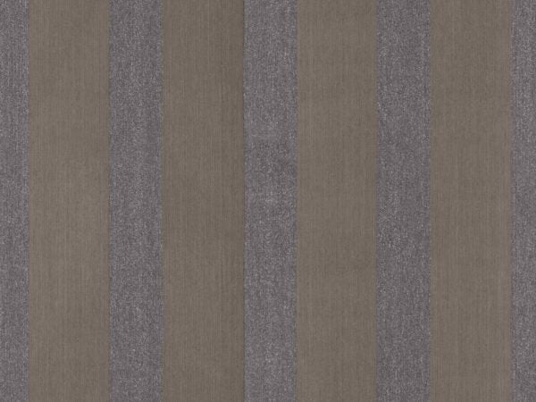 Infinity - INF8580