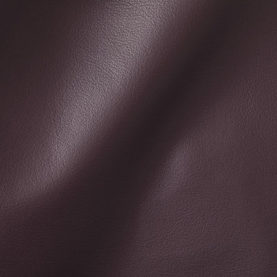 City Purple