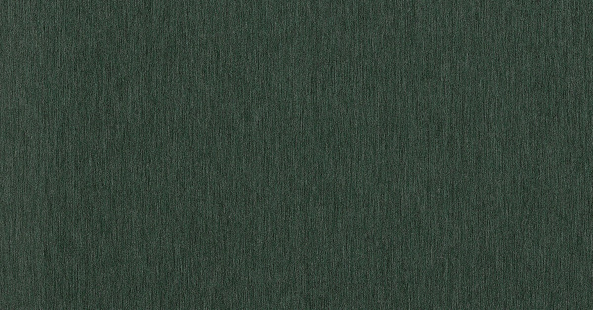 Filo Algae