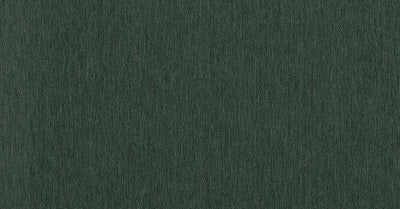 Filo Algae