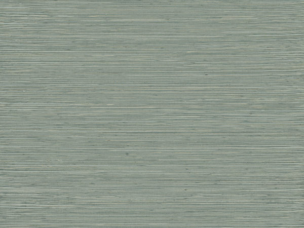 Intuition - INT512