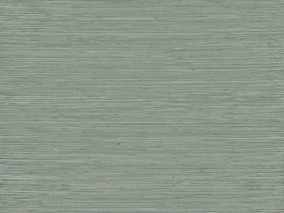 Intuition - INT512