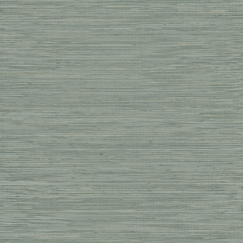 Intuition - INT512