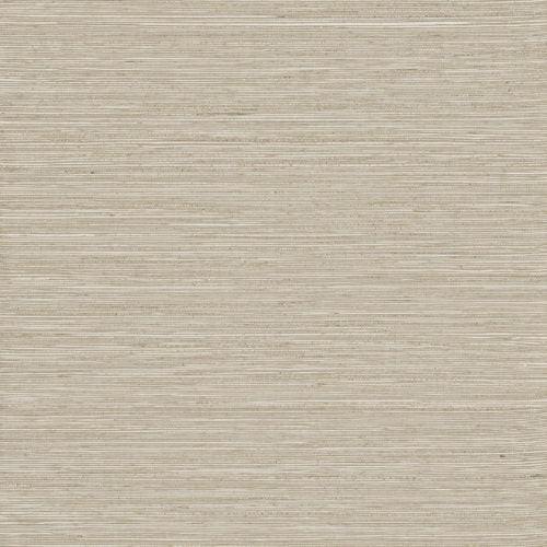 Intuition - INT515