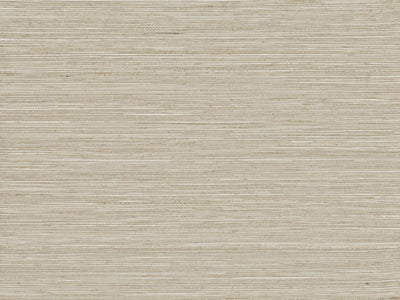 Intuition - INT515