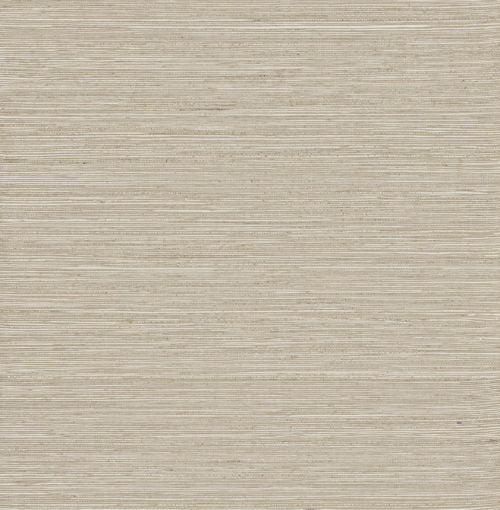 Intuition - INT511